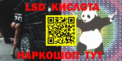 прущие грибы Пушкино