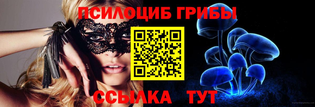 Галлюциногенные грибы Magic Shrooms  Галлюциногенные грибы GOLDEN TEACHER  Новоалтайск  Вход с VPN 